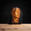 MOONDYNE INSECT HEAD NET
