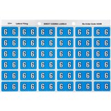 AVERY 43346 LATERAL FILE LABEL SIDE TAB YEAR CODE 6 25 X 38MM BLUE PACK 180