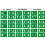 AVERY 43318 LATERAL FILE LABEL SIDE TAB COLOUR CODE R 25 X 38MM LIGHT GREEN PACK 180